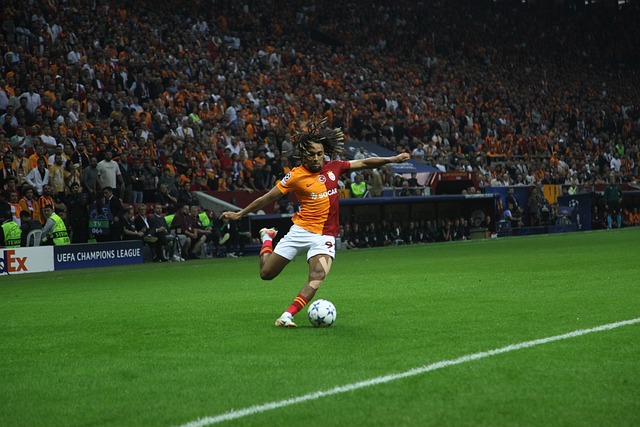 充分利用自 充分利用自