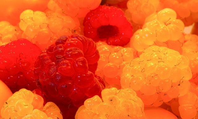 球球迷的一 球球迷的一