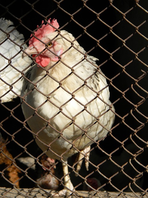 的历史中经 的历史中经